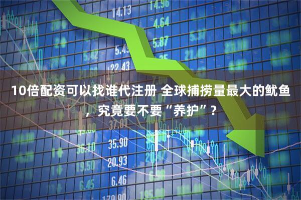 10倍配资可以找谁代注册 全球捕捞量最大的鱿鱼，究竟要不要“养护”？